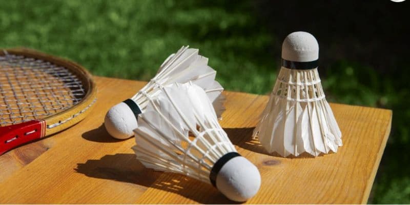 Cá cược cầu lông tại VB777 