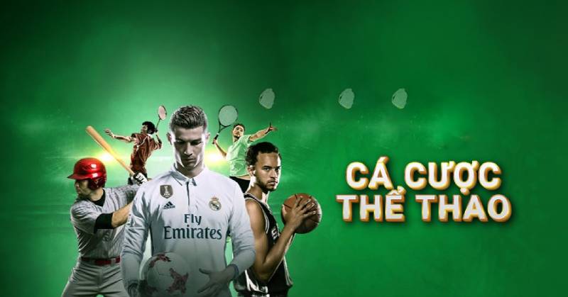 Cá cược thể thao 1 Sảnh cá cược thể thao VB777