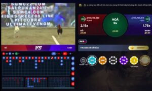 Đá Gà GA28 tại VB777 – Trải nghiệm cá cược đá gà trực tuyến chuẩn xác và hấp dẫn 1 Đá Gà GA28 cá cược đá gà trực tuyến được ưa chuộng